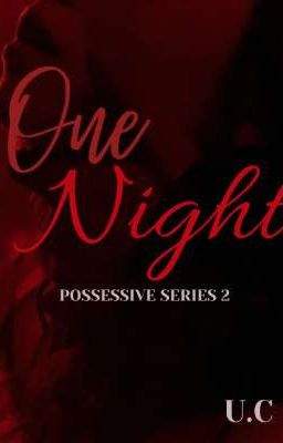 One Night: Possessive series 2 