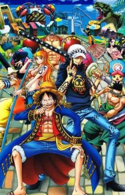 One Piece x Reader One-shots