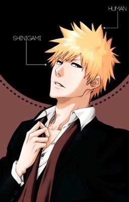 Opia (Ichigo x reader)