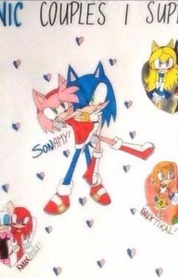 Opinions of Sonic Ships