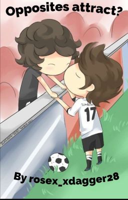 Opposites Attract? ~ Larry Stylinson