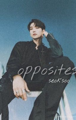 Opposites || Seoksoo