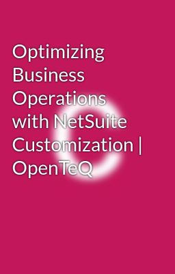 Optimizing Business Operations with NetSuite Customization | OpenTeQ