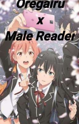 Oregairu X Male Reader