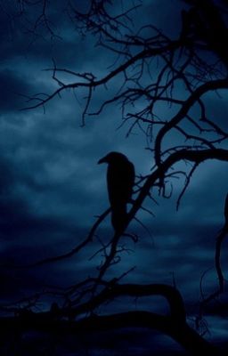 ~*~ Origin of The Thirteenth Raven ~*~