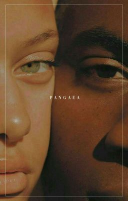 pangaea ❨ animal gif hunt