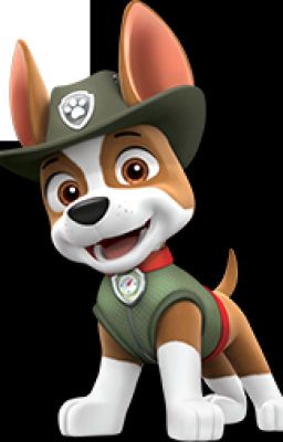 PAW Patrol: Pups Save Tracker! [COMPLETE]