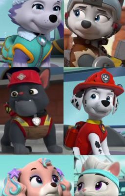 Paw Patrol Ships 2