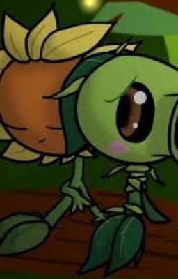 Peas and sunshine (a pvz peashooter X sunflower story)