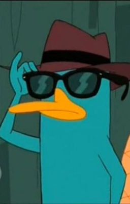 Perry the platypus x reader one shots