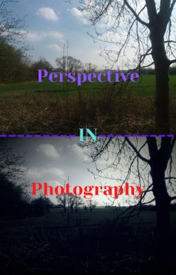 Perspective in Photography