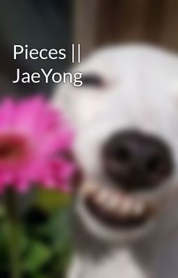 Pieces || JaeYong