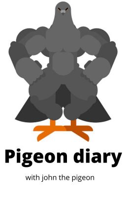 Pigeon diary