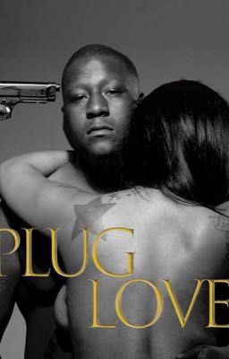 PLUG LOVE (the remix)