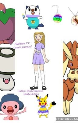 Pokémon XY, Cami's journey