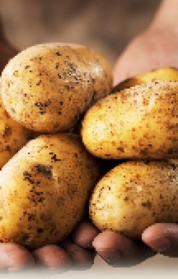 Potato Poetry (A collection of potato poems)