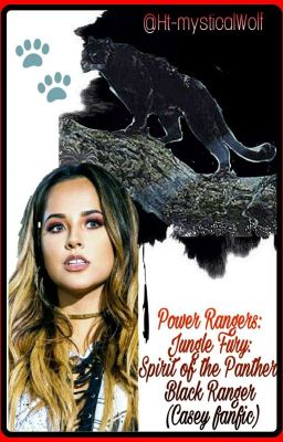 Power Rangers Jungle Fury: Spirit of the Panther: Black Ranger (Casey FanFic)