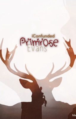 Read Stories Primrose Evans (1) : Lily Evans' Twin  And James Potter Love Story - TeenFic.Net