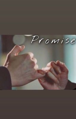 Promise    (Georgenotfoundxreader)