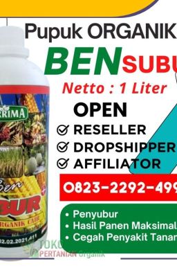 PROMO AMBYAR! 0823-2292-4990, PENYEDIA pupuk dasar tanaman padi Kota Banda Aceh