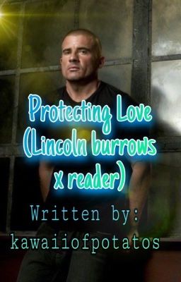 Protecting love ( Lincoln burrows X reader)