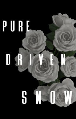 Pure Driven Snow