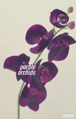 purple orchids