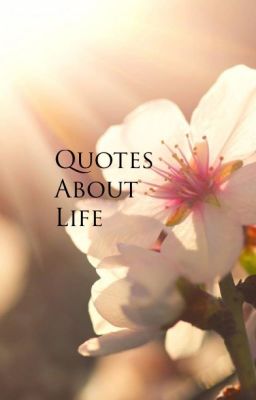 Quotes About Life