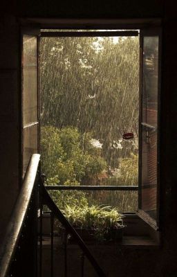 Rain - Fred Weasley 