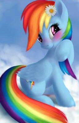 Rainbow Dash's perspective of life