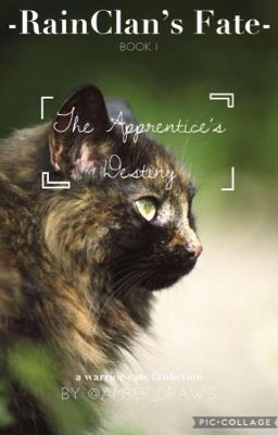 RainClan's Fate; The Apprentice's Destiny | Warrior Cats Fanfiction