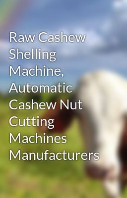 Raw Cashew Shelling Machine, Automatic Cashew Nut Cutting Machines Manufacturers