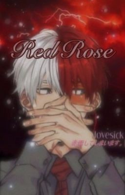 red rose ┊ todobakudeku