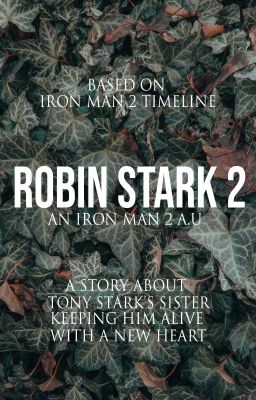 ROBIN STARK 2 // iron man 2 a.u
