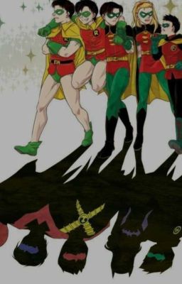 Robins And Time Travel