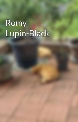 Romy Lupin-Black