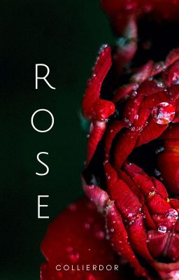 Rose | Terminée