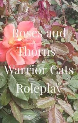 Roses and Thorns | Warrior Cats Roleplay