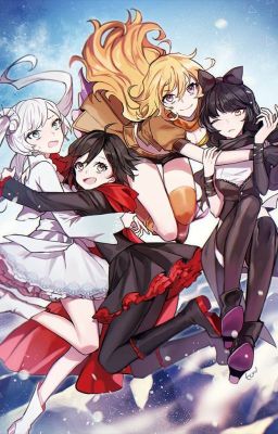 RWBY In Reality (Harem x Male Reader)