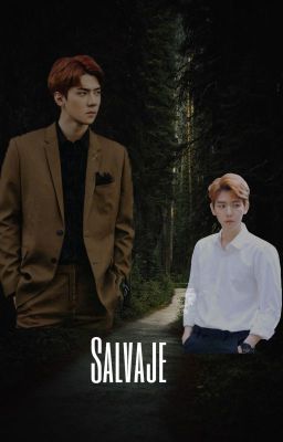 Salvaje {SeBaek}