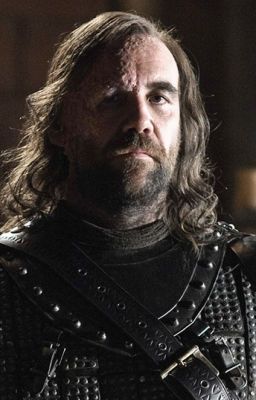 Sandor Clegane / The Hound x reader