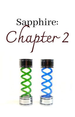 Sapphire: Chapter 2