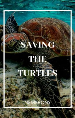 Saving The Turtles #PlanetOrPlastic