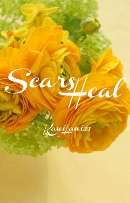 Scars Heal