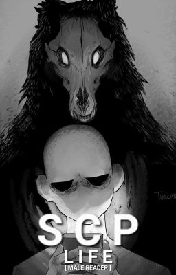 Read Stories SCP oneshots x Reader