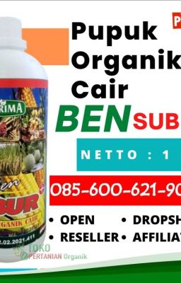 SEDANG DISKON! 0856-0062-1900, AGEN Pupuk organik cair padi Rejang Lebong