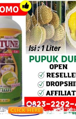 SEDANG PROMO! 0823-2292-4990, JUAL pupuk buah durian agar tidak rontok Kampar