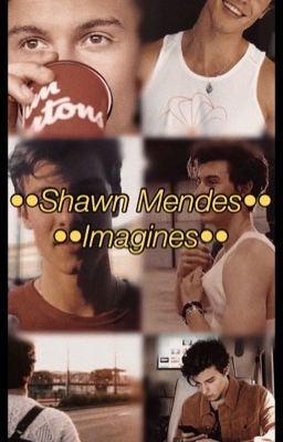 ••Shawn Mendes Imagines••