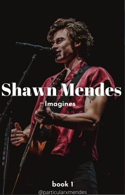 Shawn Mendes Imagines [Book 1]