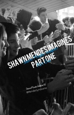 Shawn Mendes Imagines Part 1